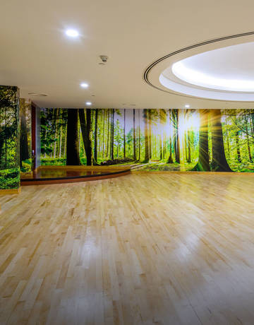 mind and body indoor studio